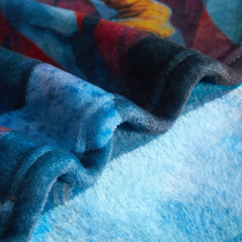 US Celebrates 250 Plush Blanket - LBRT MAP Edition