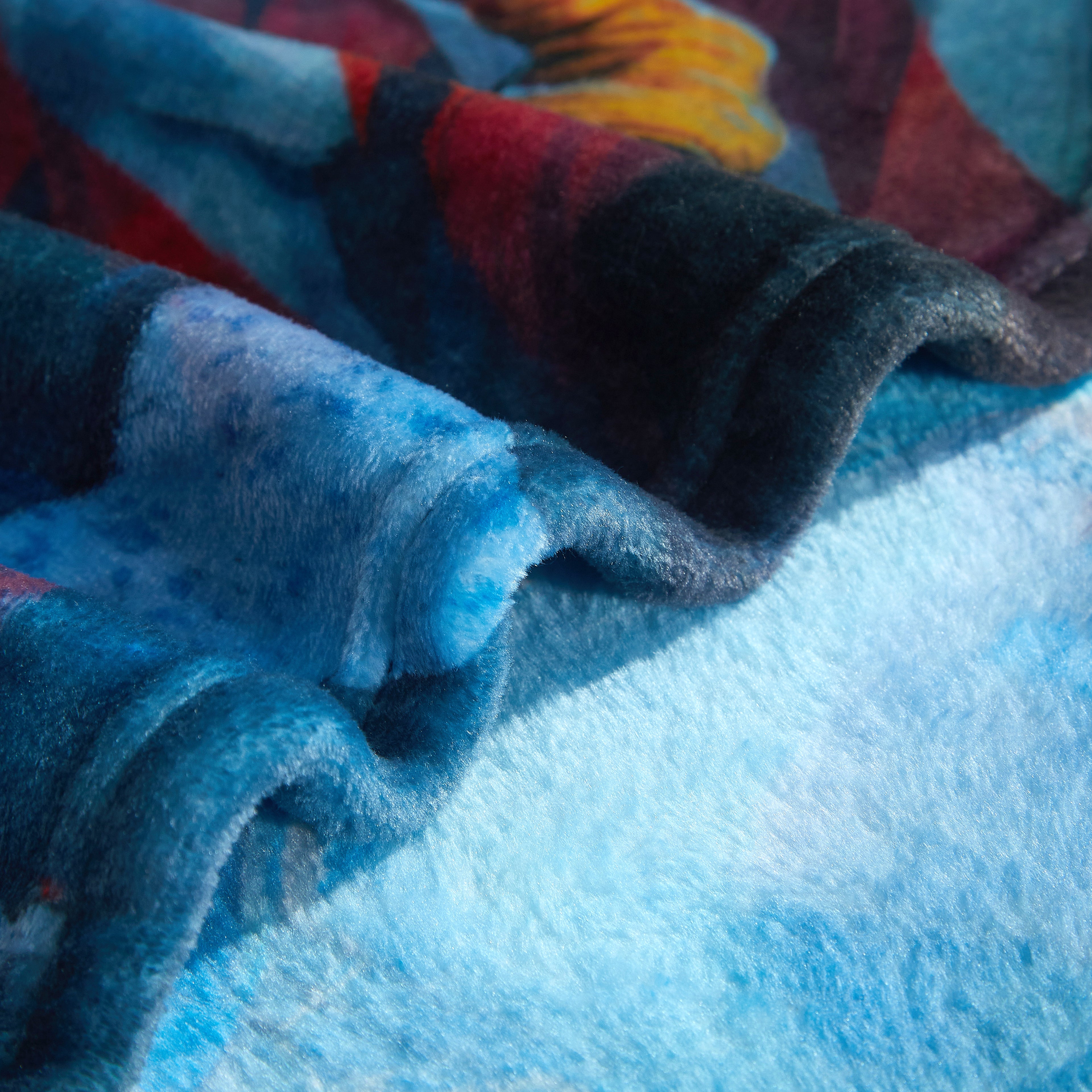 US Celebrates 250 Plush Blanket - LBRT MAP Edition