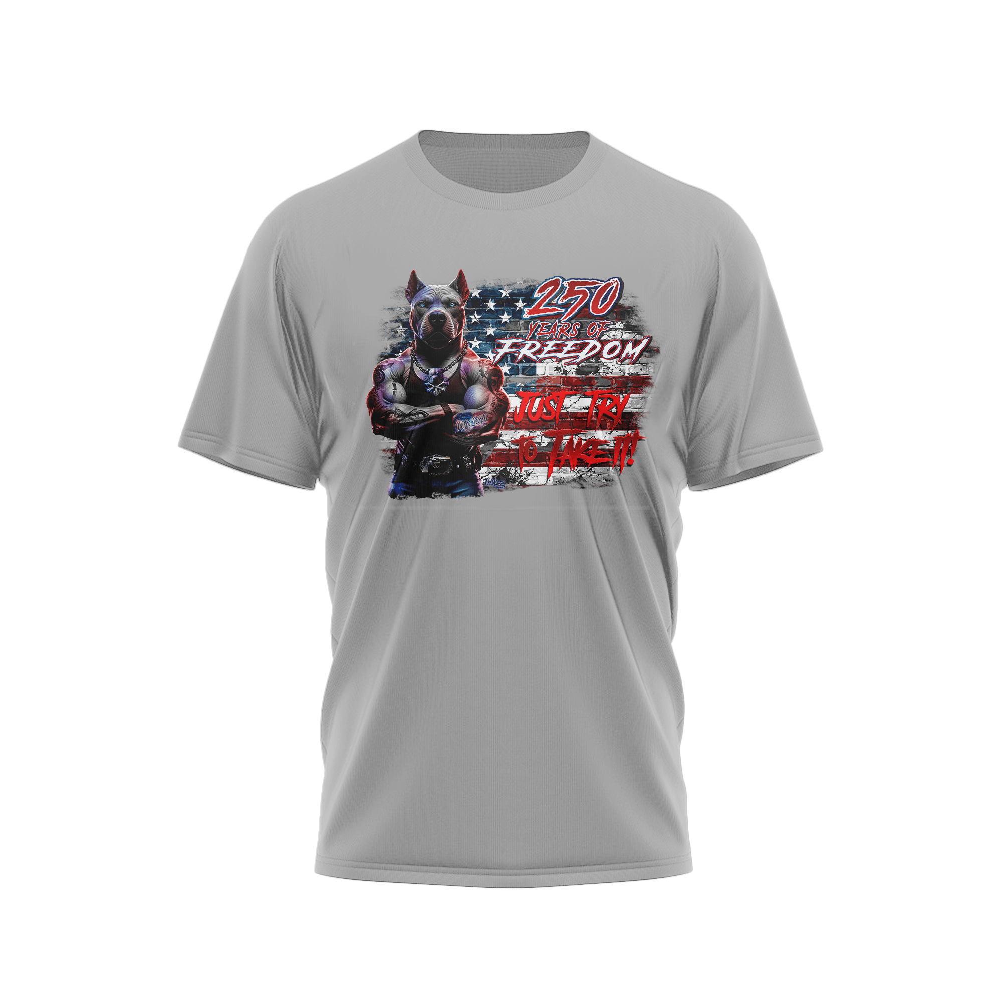 US Celebrates 250 Classic Unisex Tee - PIT JTTTI - US Celebrates 250