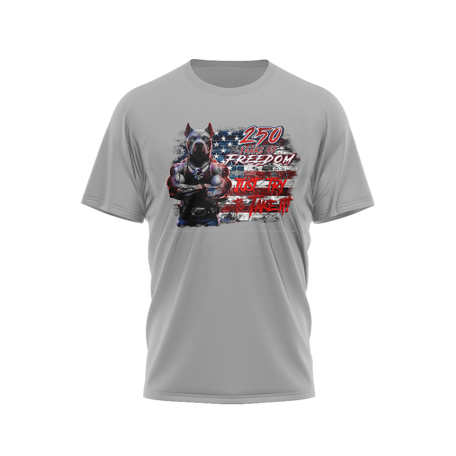 US Celebrates 250 Classic Unisex Tee - PIT JTTTI - US Celebrates 250