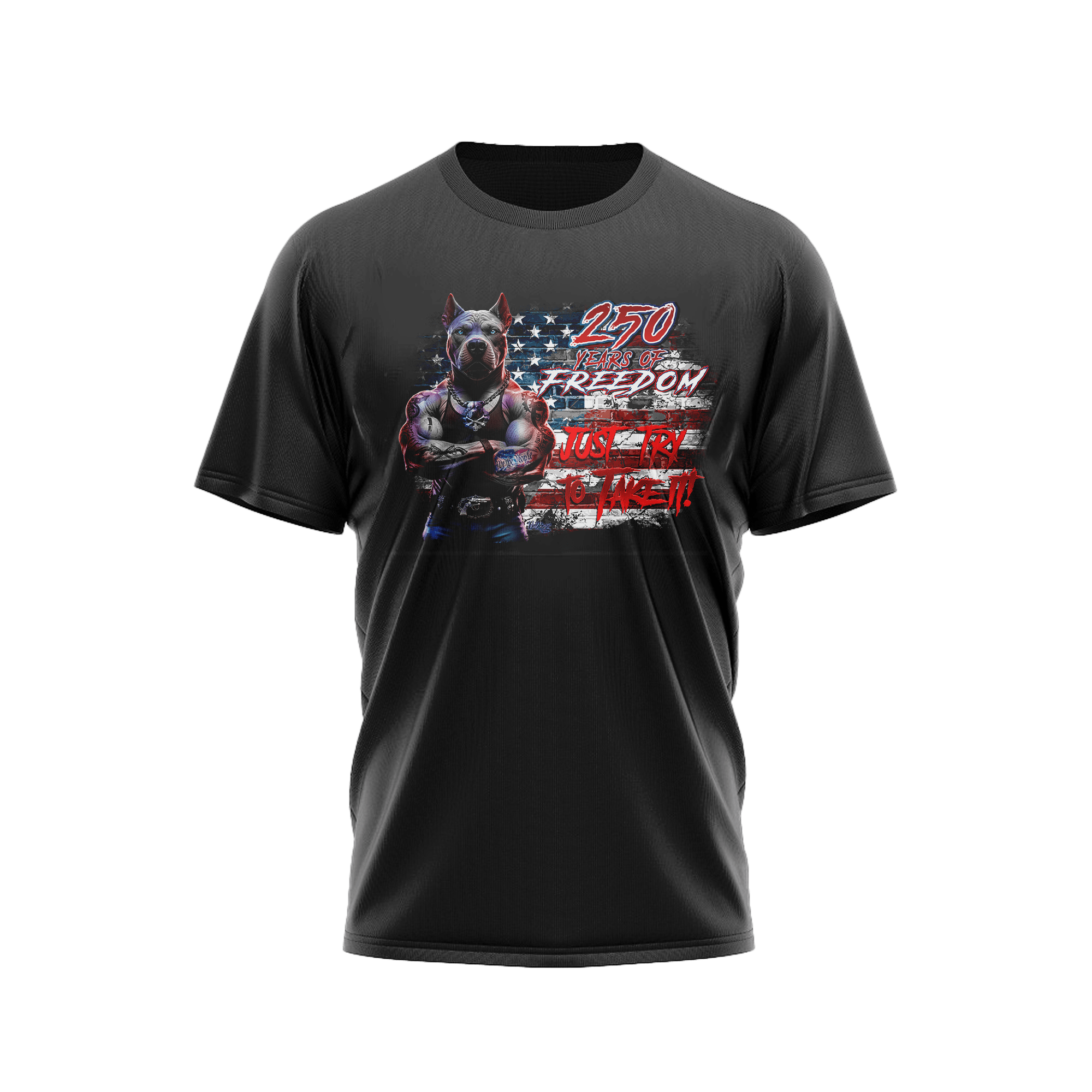 US Celebrates 250 Classic Unisex Tee - PIT JTTTI - US Celebrates 250