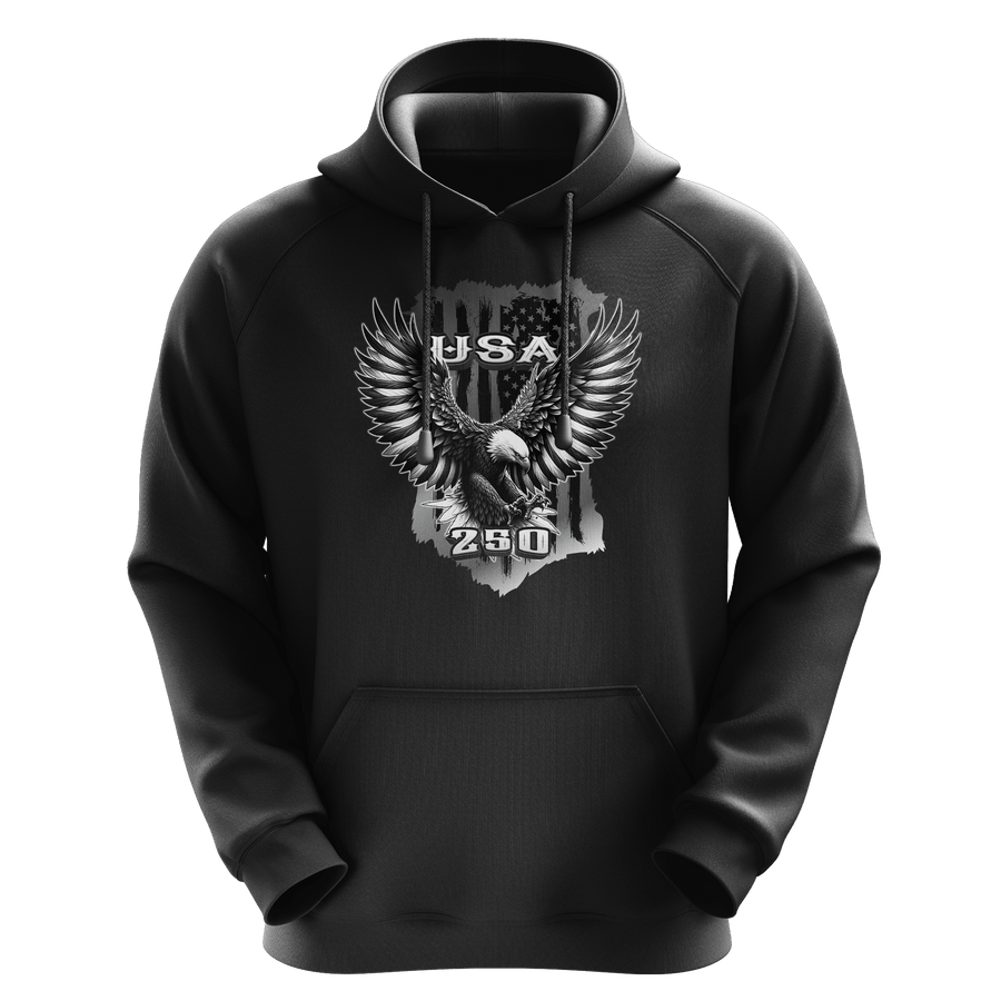 Unisex Graphic Hoodie - BGFT BRO | US Celebrates 250 Premium