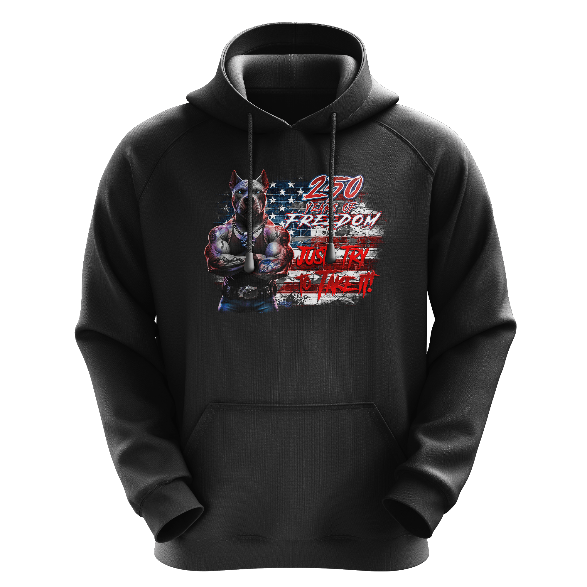 US Celebrates 250 Unisex Graphic Hoodie - PIT JTTTI - US Celebrates 250